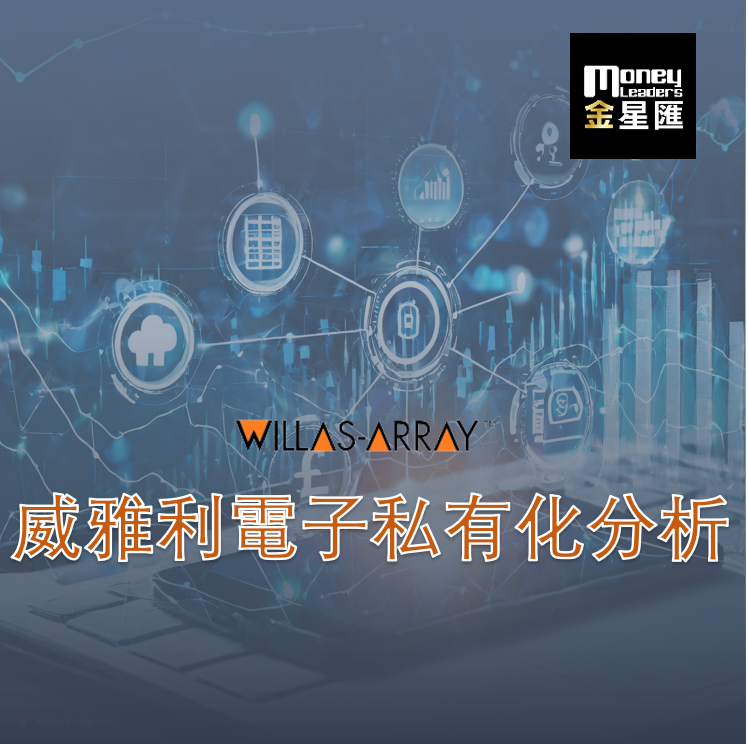 威雅利電子私有化分析